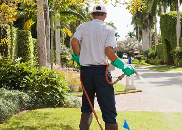 About Shawneetown IL Pest Control